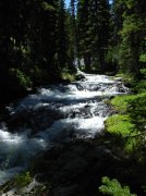 Summer '06 Sunriver 287 